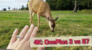 OnePlus 3 vs Galaxy S7: 4K Camera Test
